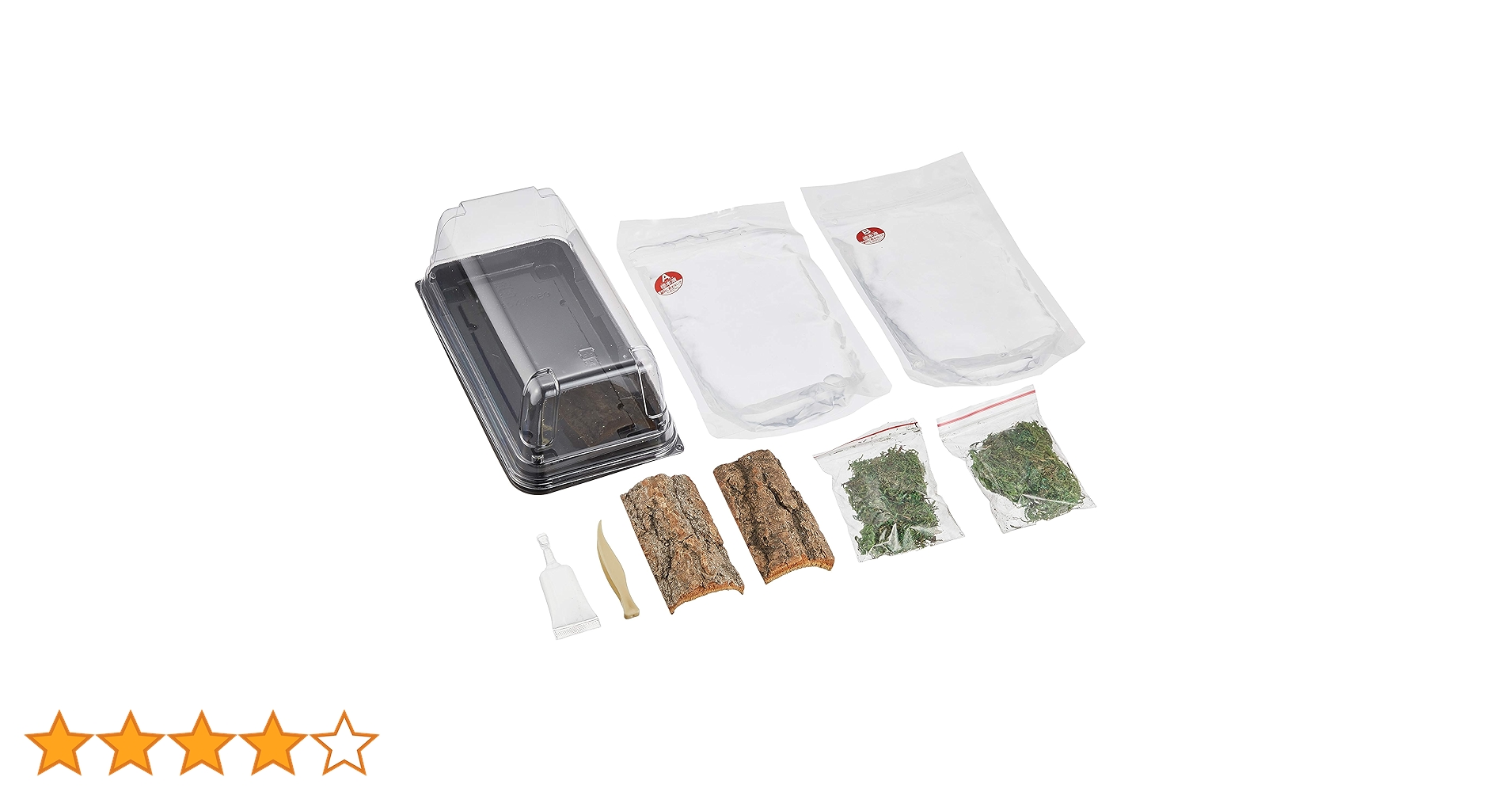 昆虫標本40匹セット　※A品B品 昆虫標本40匹セット ※A品B品 昆虫標本40匹セット ※A品B品